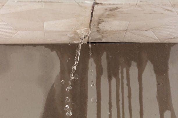 Professional Flood Damage Cleanup technician working in Hayfield, MN